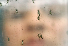 Research suggests pregnant women may be more susceptible to mosquito bites